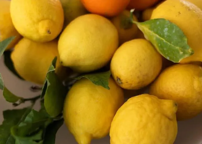 La Casa Di Daniel Il Posto Ideale شقة